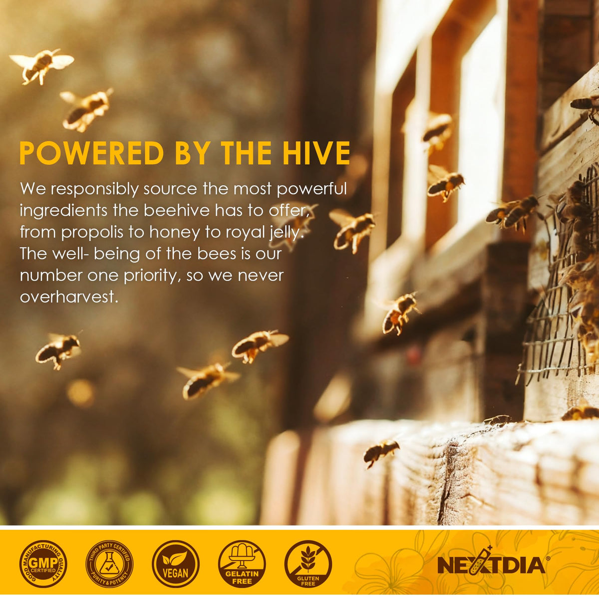Nextdia Bee Pollen Organic gummies with ingredients