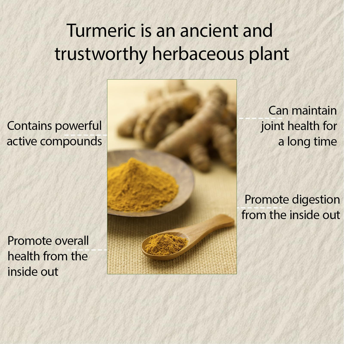 NIVELLE Turmeric Curcumin 1000mg supplement ingredients list