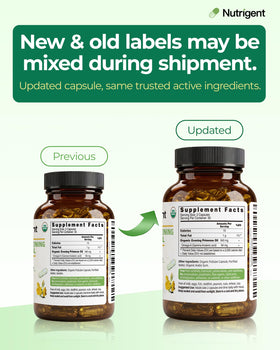 Nutrigent Evening Primrose Oil Capsules 470mg in a hand