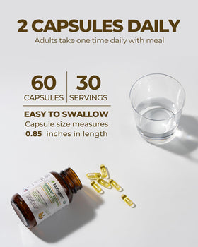 Nutrigent Evening Primrose Oil Capsules 470mg with a measuring spoon