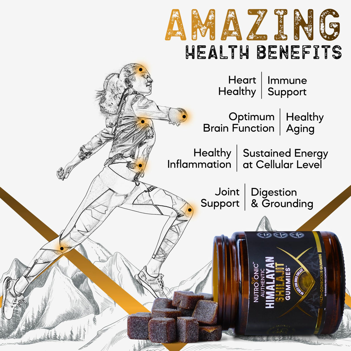 NutroTonic Organic SHILAJIT Gummies Apple Cinnamon packaging