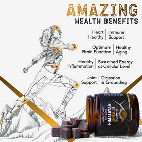 NutroTonic Organic SHILAJIT Gummies Apple Cinnamon packaging