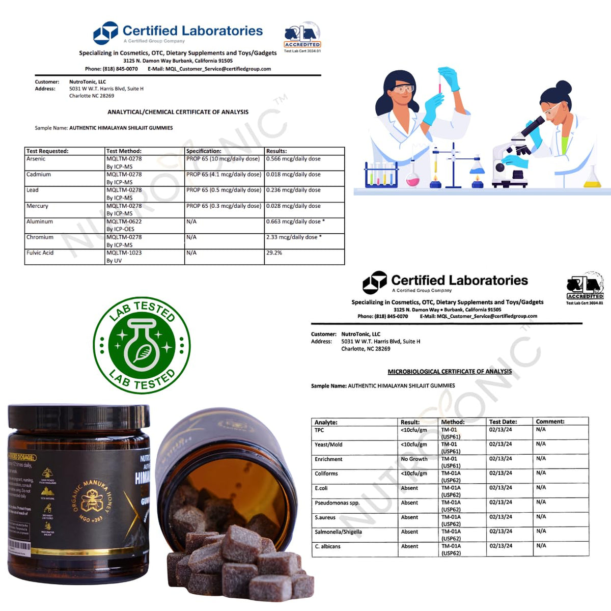 NutroTonic Organic SHILAJIT Gummies Apple Cinnamon with fresh apples