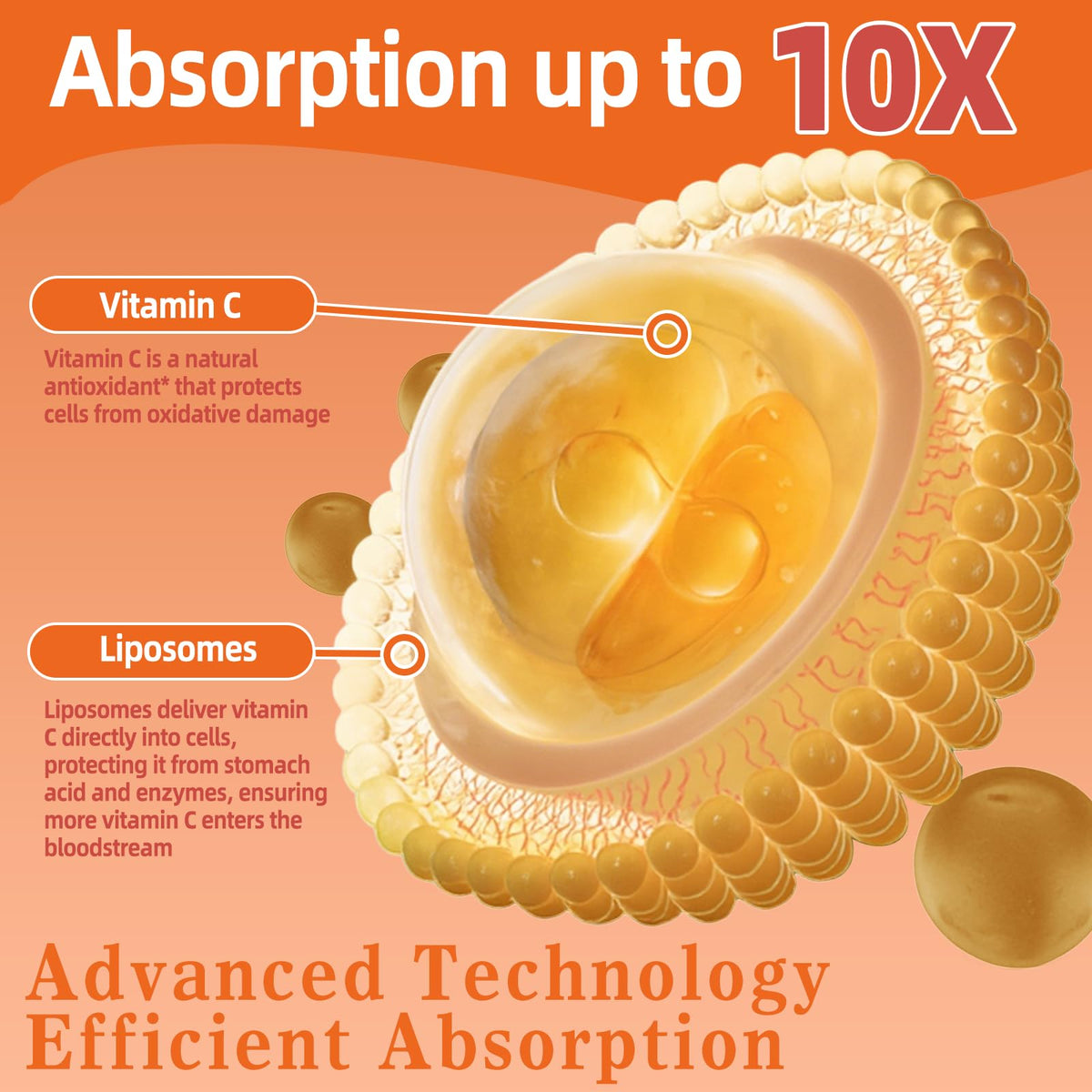 OALSE Liposomal Vitamin C Gummies 2000mg nutritional facts