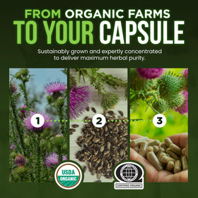 OmniBiotics Organic Milk Thistle Supplement 1500mg label close-up