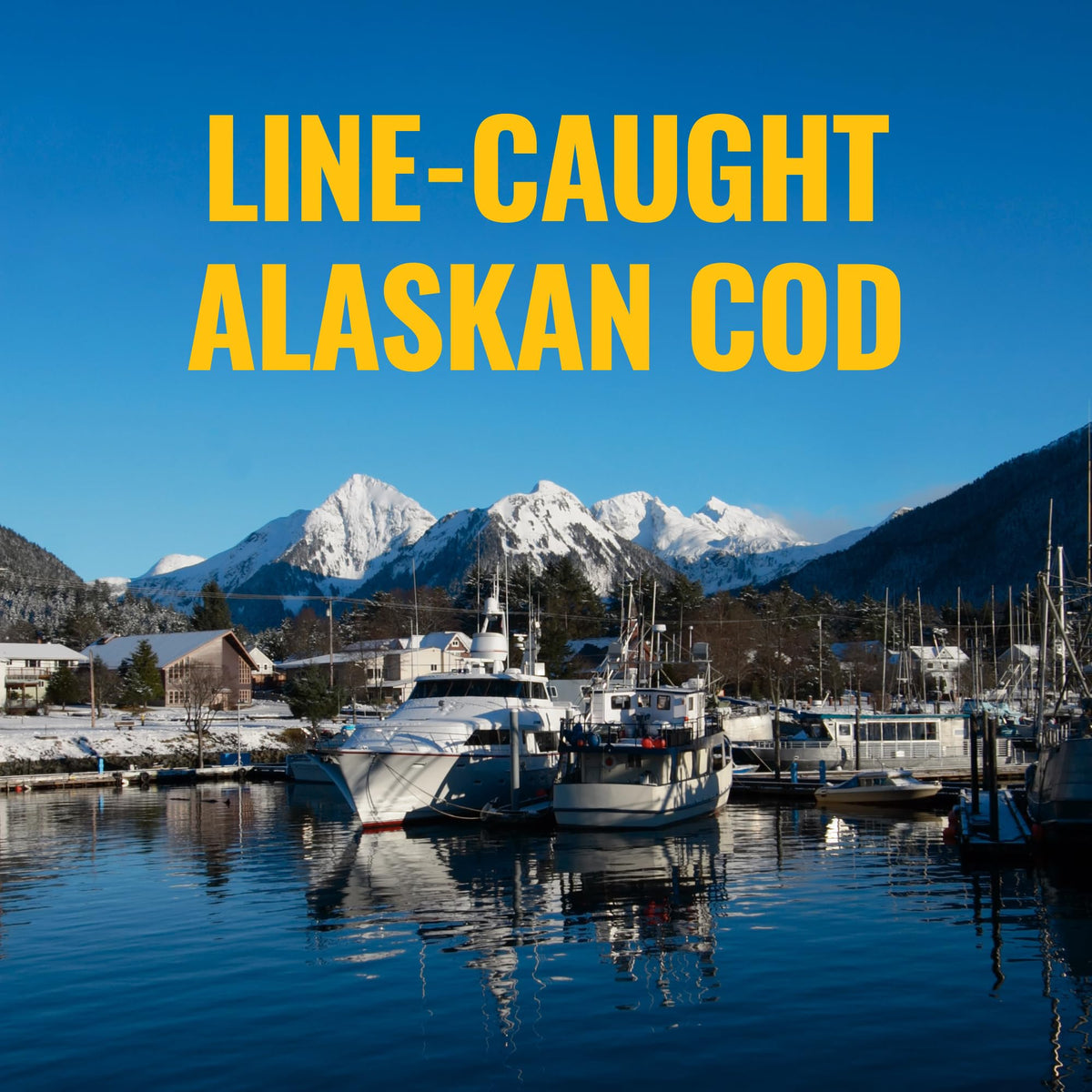 On Target Living Alaskan Cod Liver Oil ingredients and nutritional information