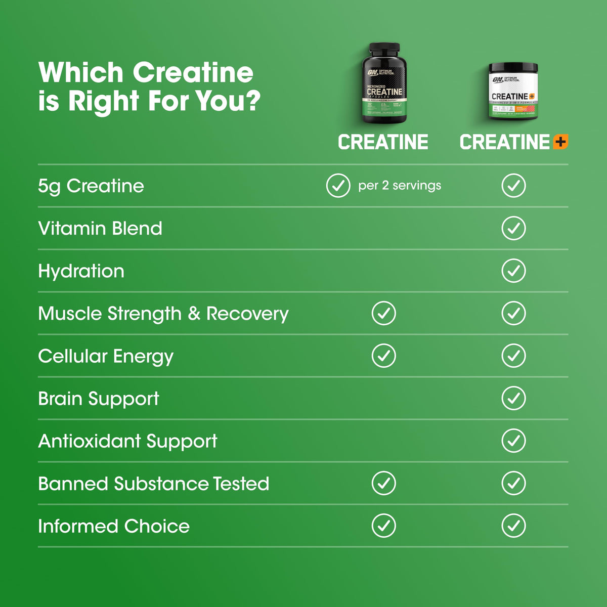 Optimum Nutrition Creatine Monohydrate Capsules on a workout bench