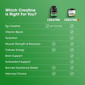 Optimum Nutrition Creatine Monohydrate Capsules on a workout bench