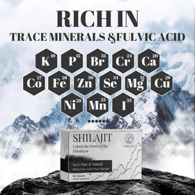 ORBILIVE Shilajit Tablets with a measuring spoon