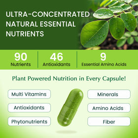 Organic Veda Moringa Capsule 1000mg bottle with label