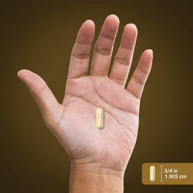 Piping Rock Turkey Tail Mushroom Capsules nutritional information