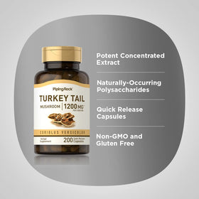 Piping Rock Turkey Tail Mushroom Capsules on a wooden table