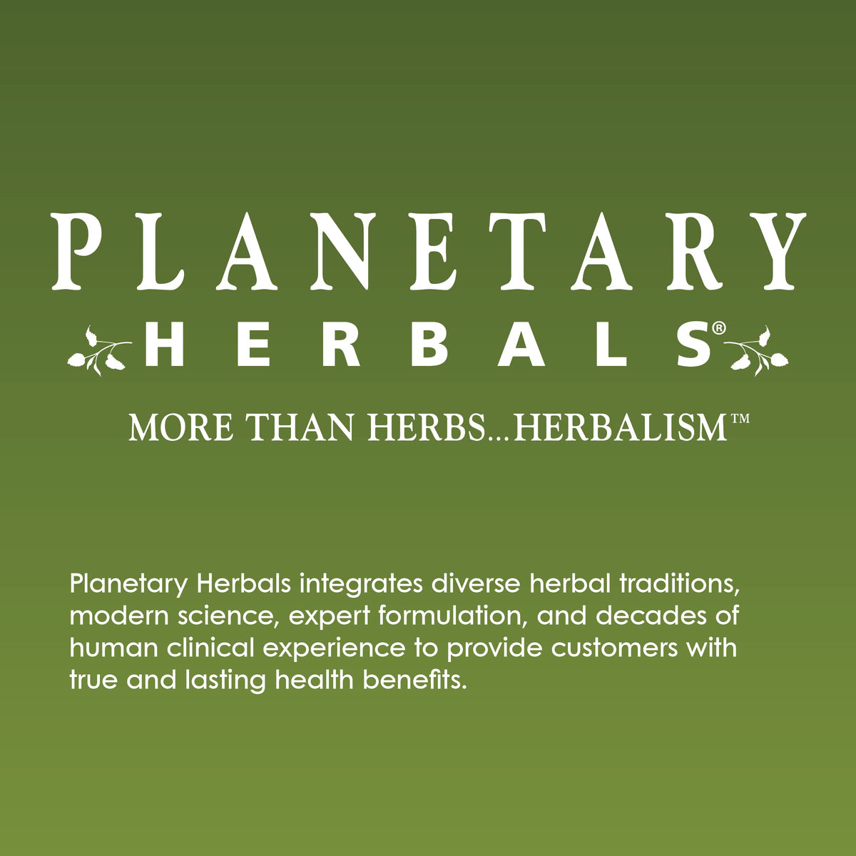 Planetary Herbals Full Spectrum Horse Chestnut 500 mg on a wooden surface