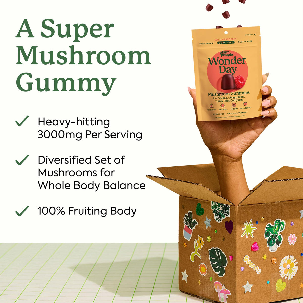 Plant People WonderDay Mushroom Gummies back view showing nutritional information