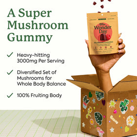 Plant People WonderDay Mushroom Gummies back view showing nutritional information