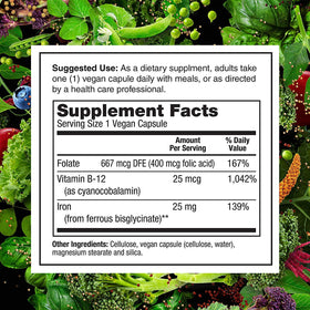 PlantFusion Vegan Iron Supplement ingredients list