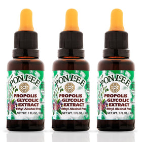 PONLEE Brazilian Green Bee Propolis Extract 30ML dropper bottle front view