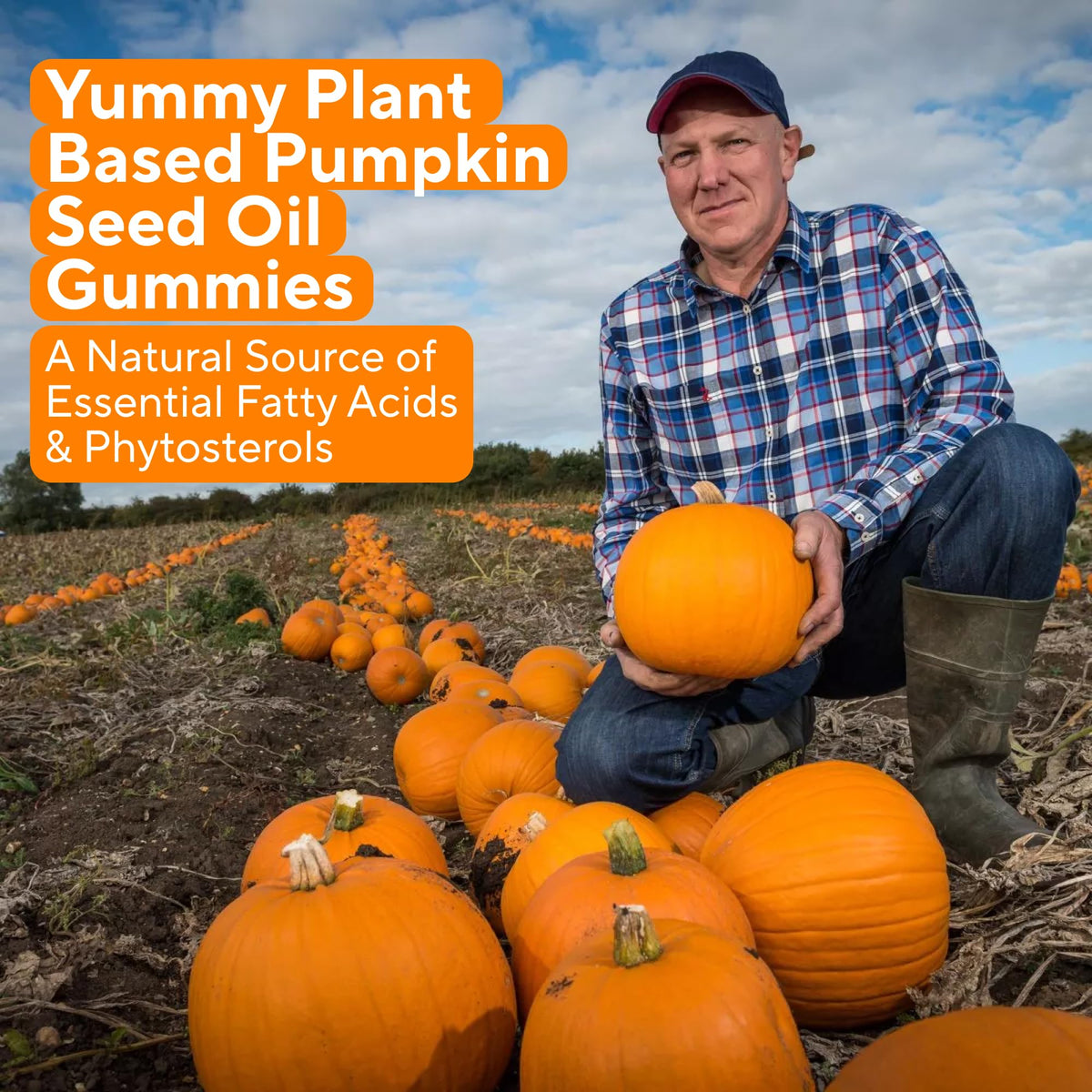 Power Grain Sugar-Free Pumpkin Seed Gummies on a wooden table