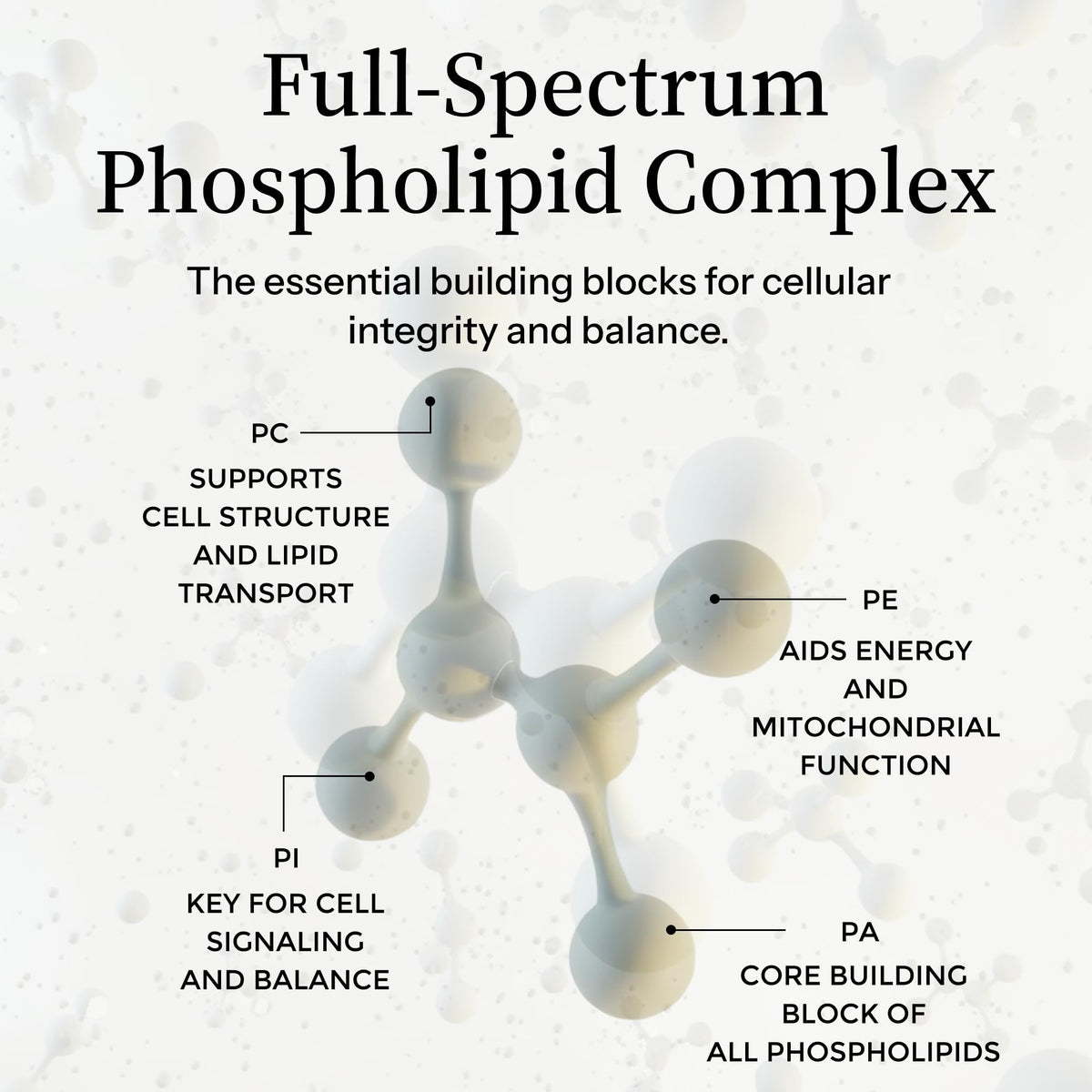 Precision Nutrients Essential Phospholipid Complex 16 fl oz on a wooden table