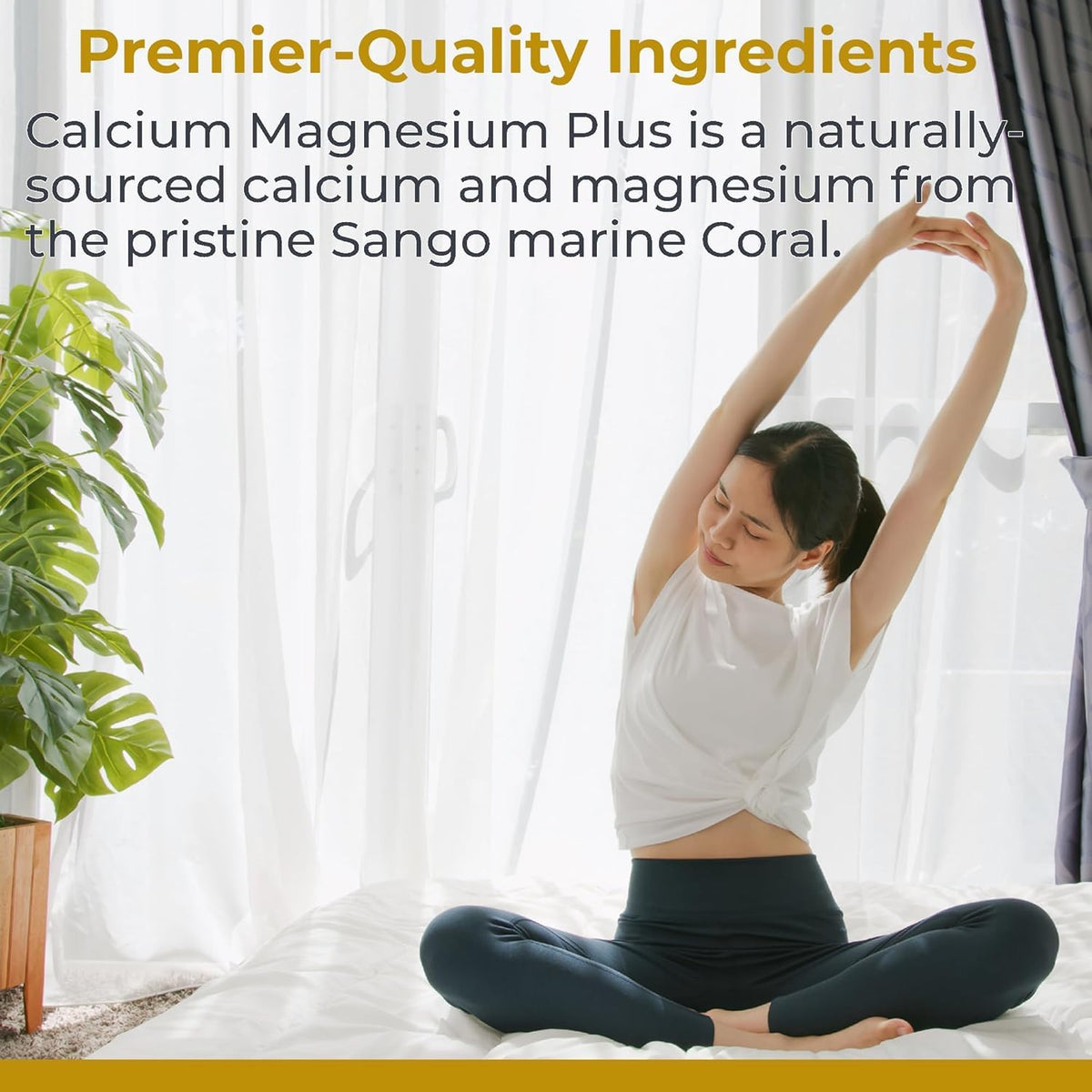 Premier Research Labs Calcium Magnesium Plus back view with ingredient list