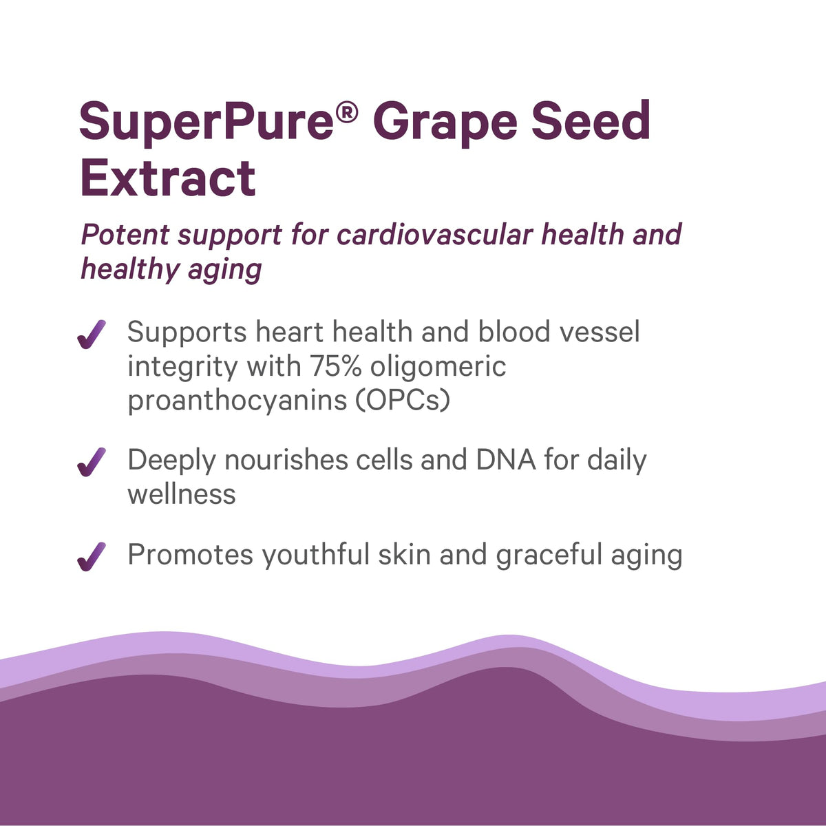 PURE SYNERGY SuperPure Grape Seed Extract ingredients list