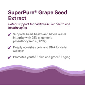 PURE SYNERGY SuperPure Grape Seed Extract ingredients list