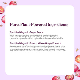 PURE SYNERGY SuperPure Grape Seed Extract packaging