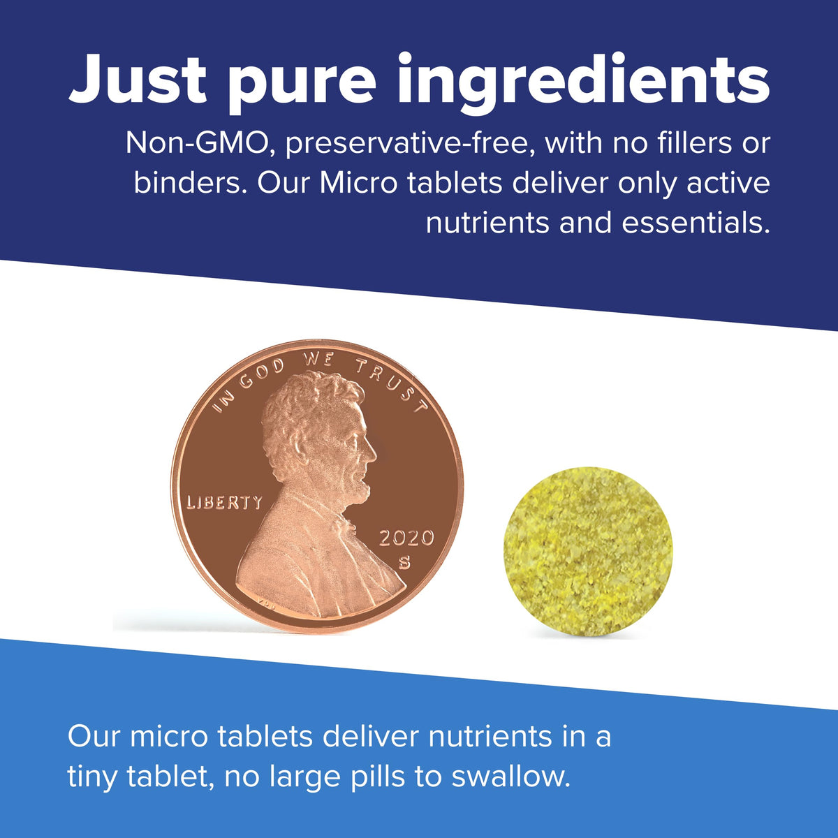 quality Source Children's B Complex ingredients list