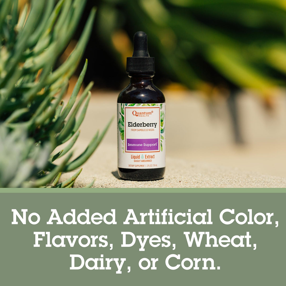 Quantum Elderberry Liquid Extract 700 mg lifestyle scene