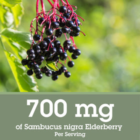 Quantum Elderberry Liquid Extract 700 mg side view