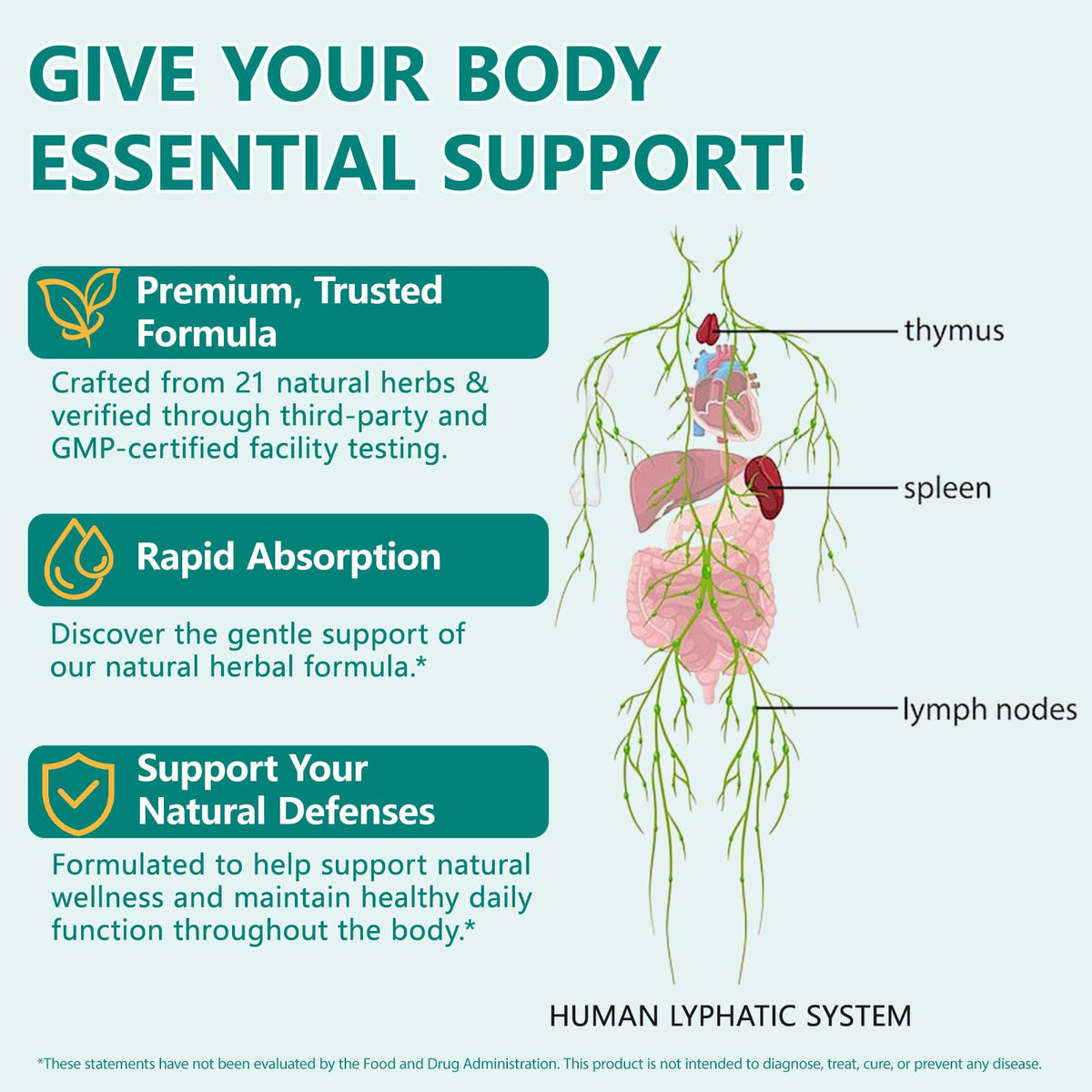 QZFICNJY Lymphatic Drainage Supplement in lifestyle setting