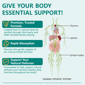 QZFICNJY Lymphatic Drainage Supplement in lifestyle setting