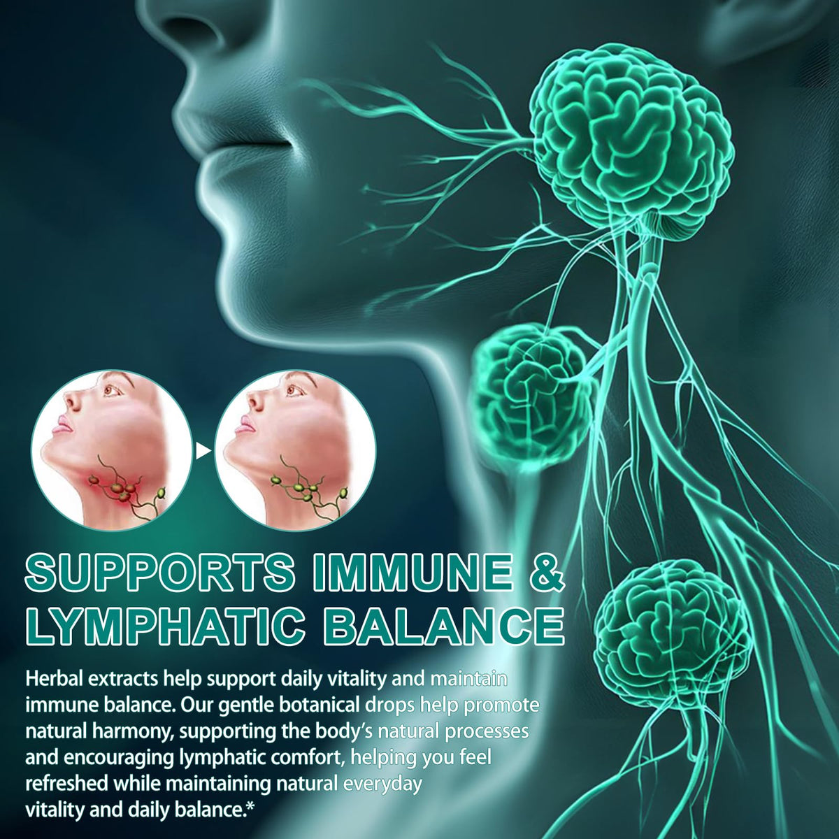 QZFICNJY Lymphatic Drainage Supplement ingredients list