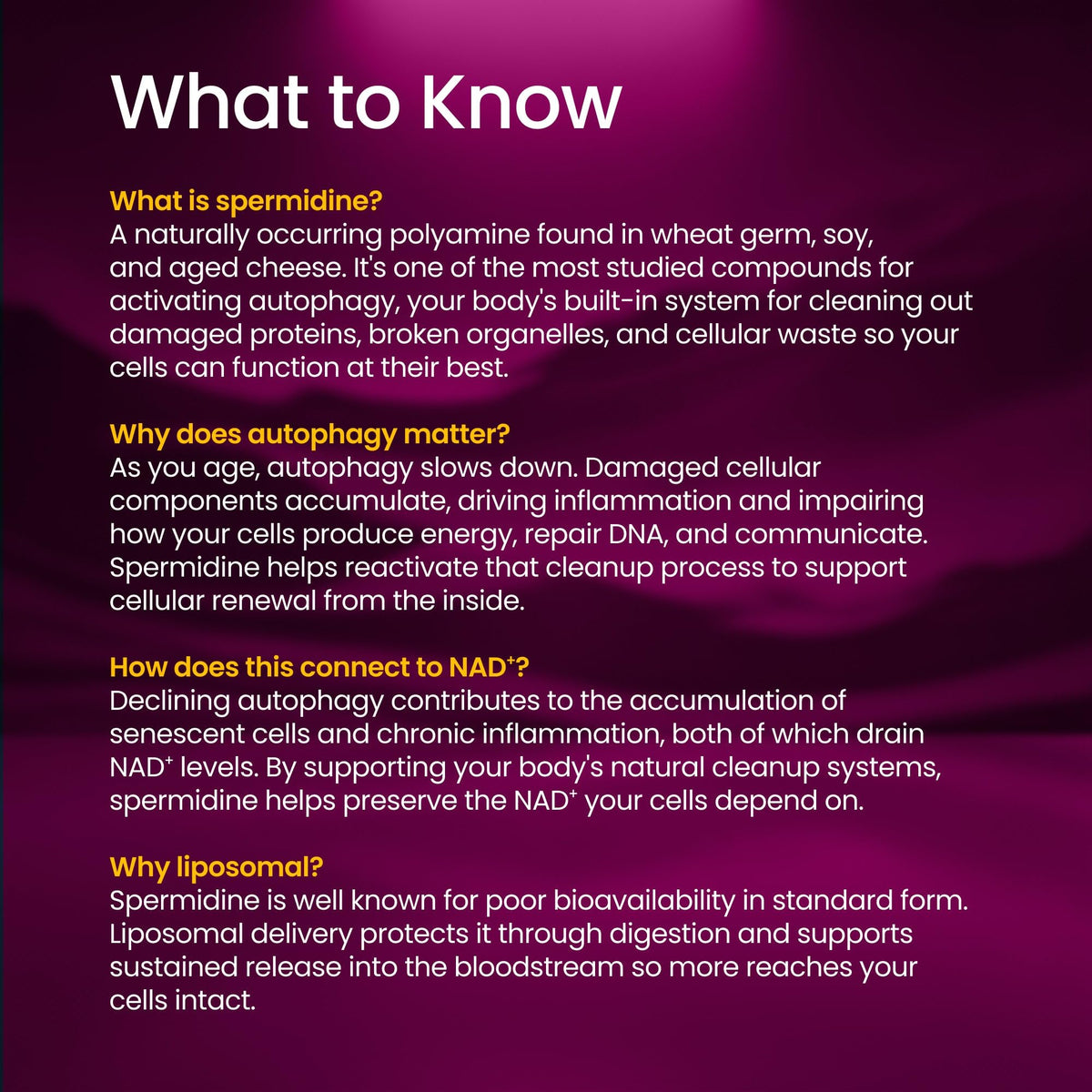 Renue By Science Spermidine Supplements nutritional information label