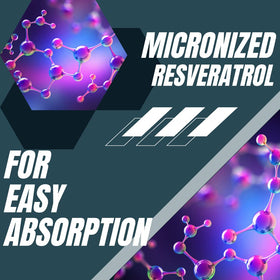 Research Labs Resveratrol Supplement 1200mg capsule close-up