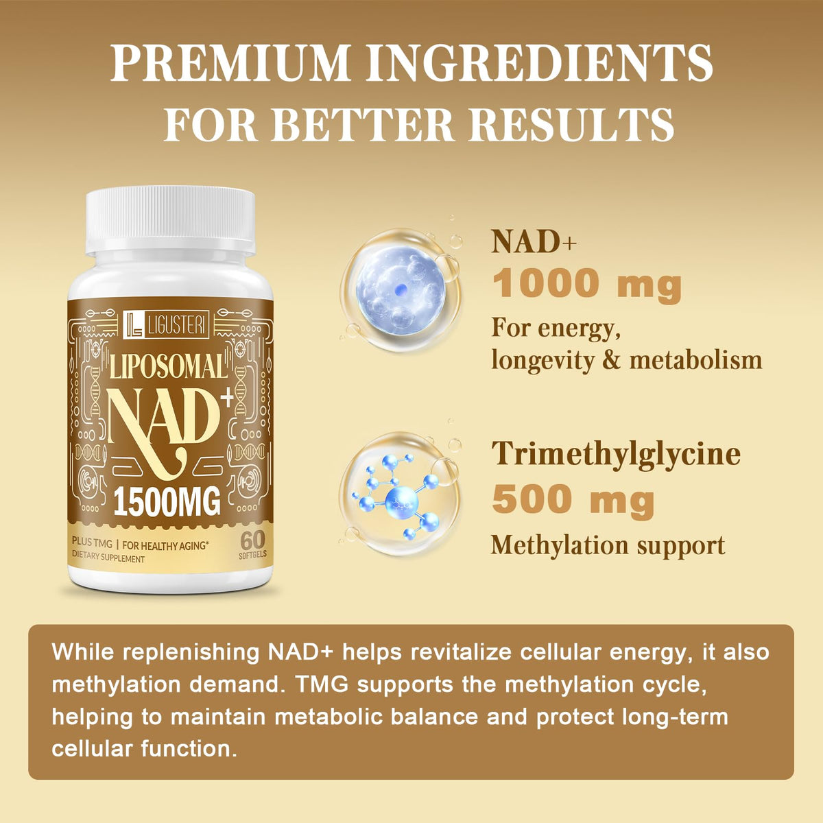 Rhameph LIGUSTERI Liposomal NAD+ 1500 MG softgels with TMG