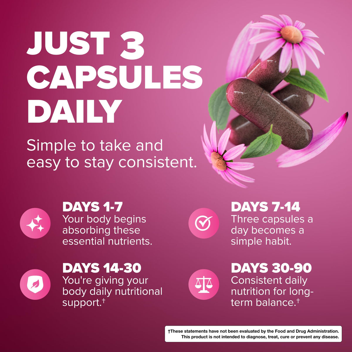 Rosabella Elderberry, Zinc & Vitamin D3 Capsules in a hand