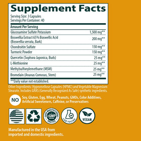 Sanar Naturals Glucosamine Chondroitin MSM Turmeric capsule in hand