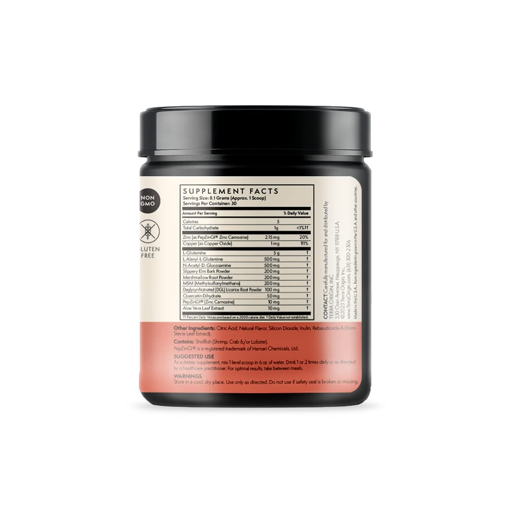 Scoop of TERRA ORIGIN Healthy Gut Watermelon powder