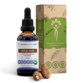 Secrets of the Tribe Wild Yam Tincture 2 Fl Oz front view