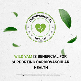 Secrets of the Tribe Wild Yam Tincture ingredients list