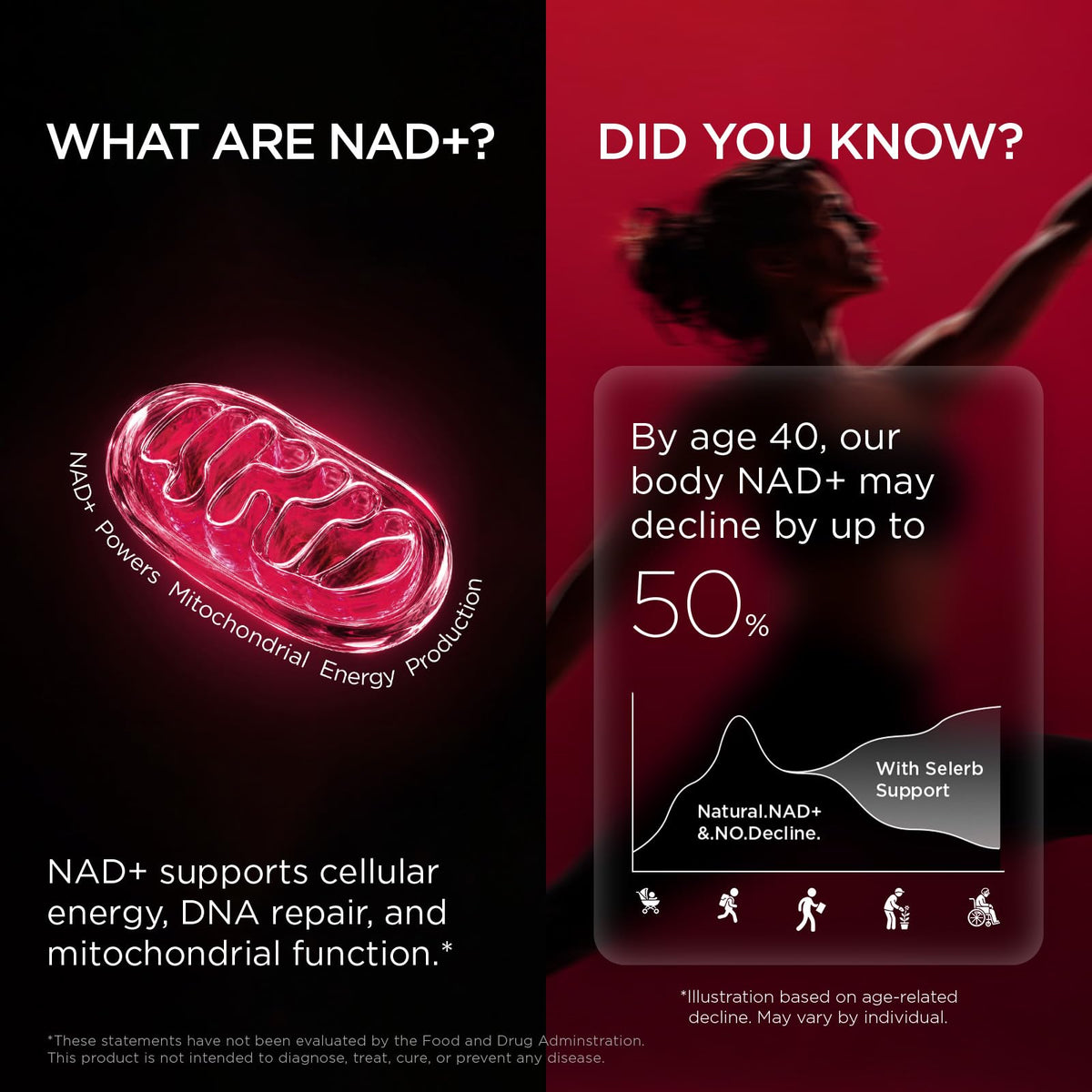 Selerb NAD+ Supplement capsules on a white background