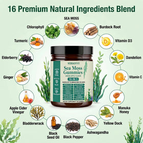 SERSANVE Sea Moss Gummies bottle side view with nutritional information