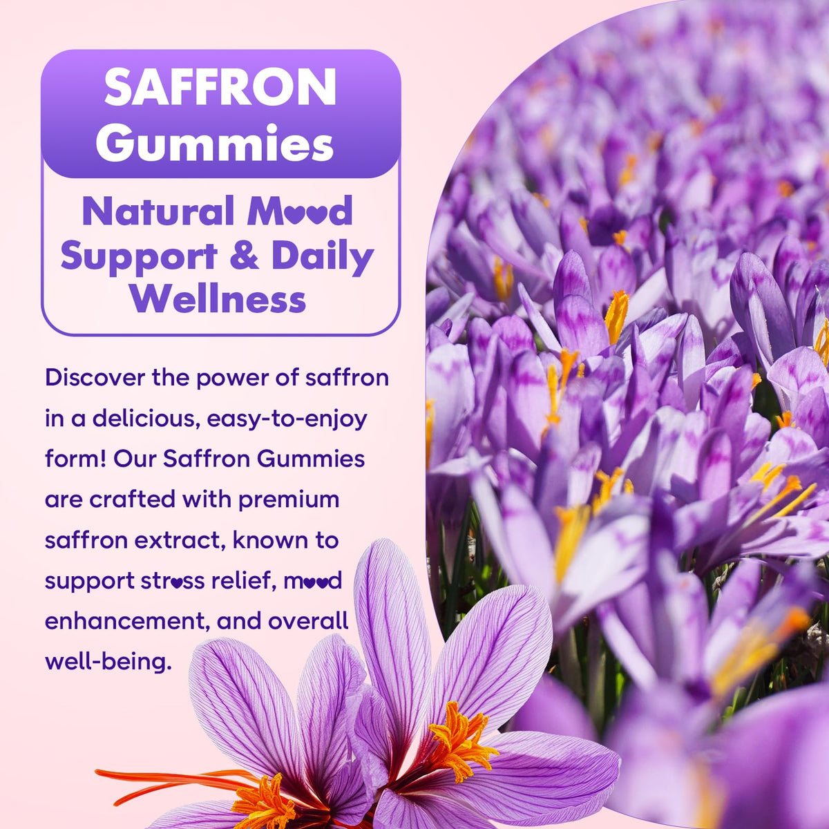 softbear Saffron Gummies ingredients list on packaging
