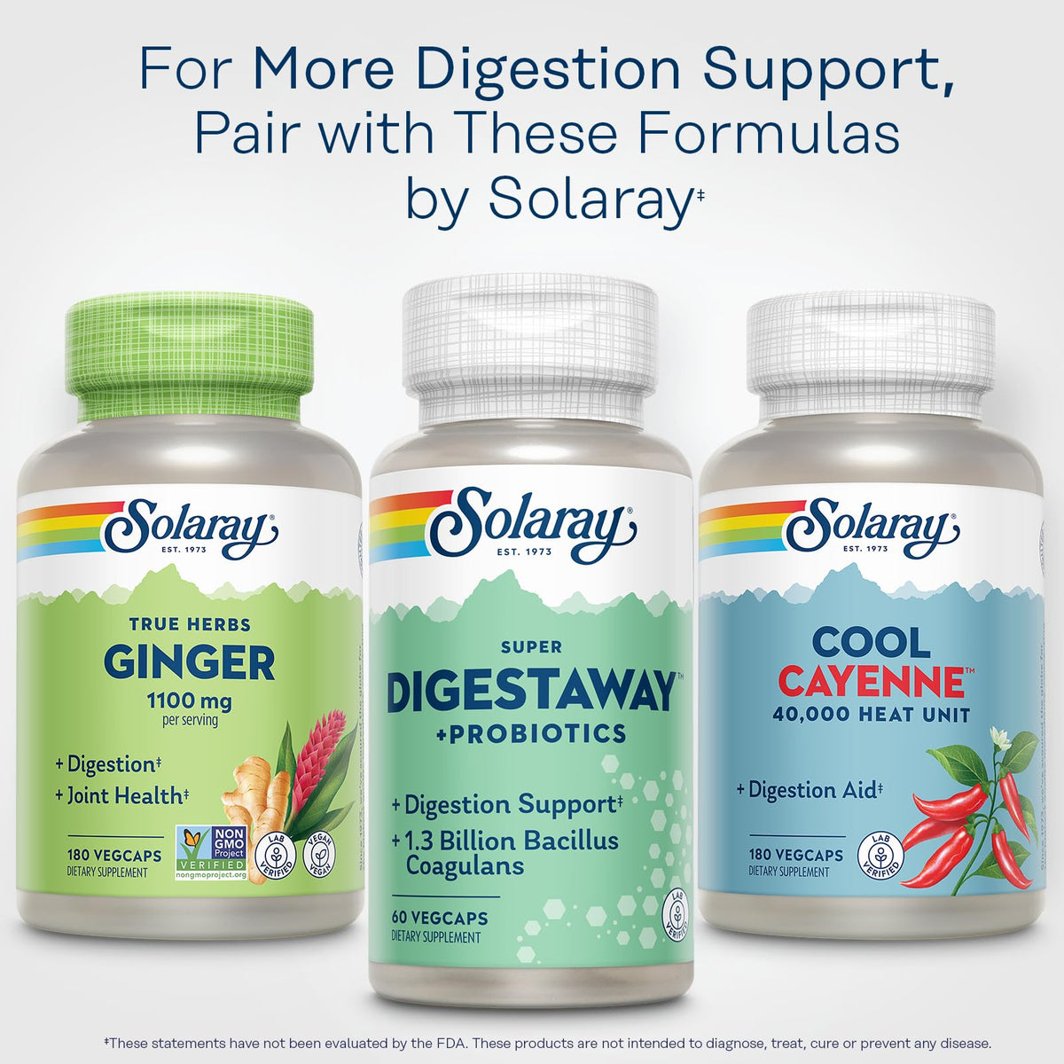 SOLARAY Super daily Plus Probiotics on a kitchen counter