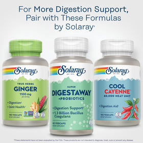 SOLARAY Super daily Plus Probiotics on a kitchen counter