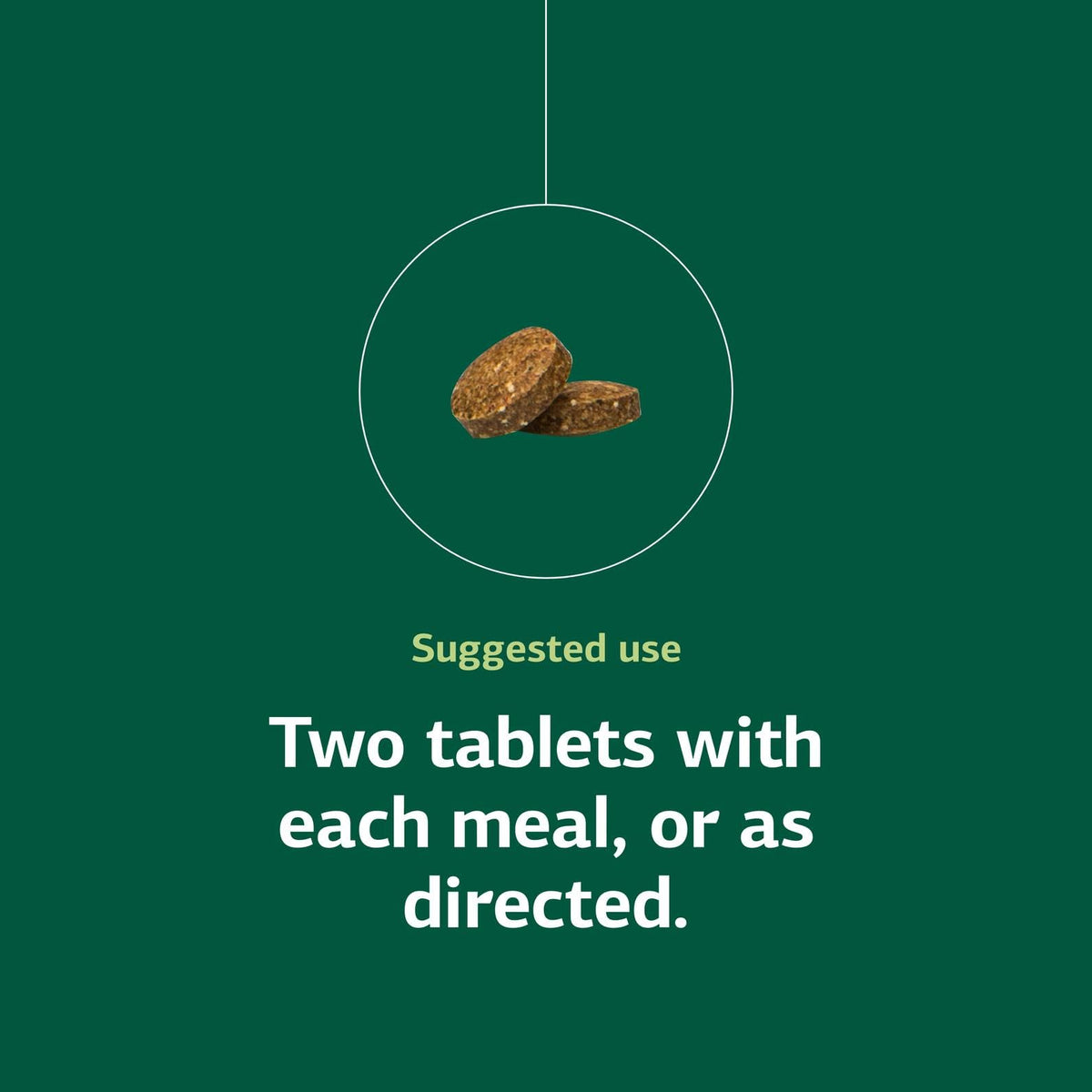 Standard Process Cataplex E 90 Tablets on a wooden table