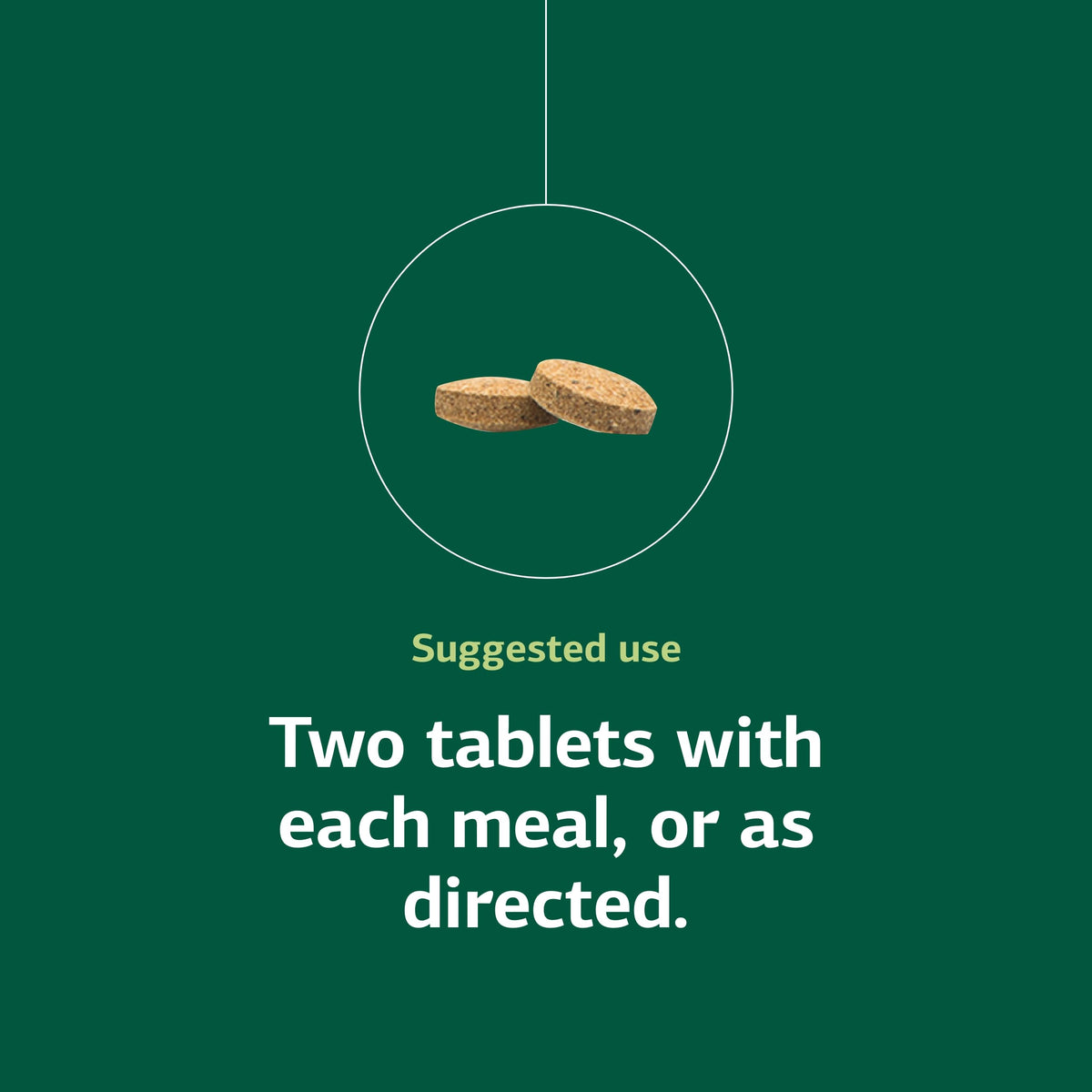 Standard Process Cataplex E2 90 Tablets on a wooden table
