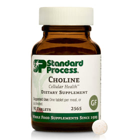 Standard Process Choline 90 Tablets front view