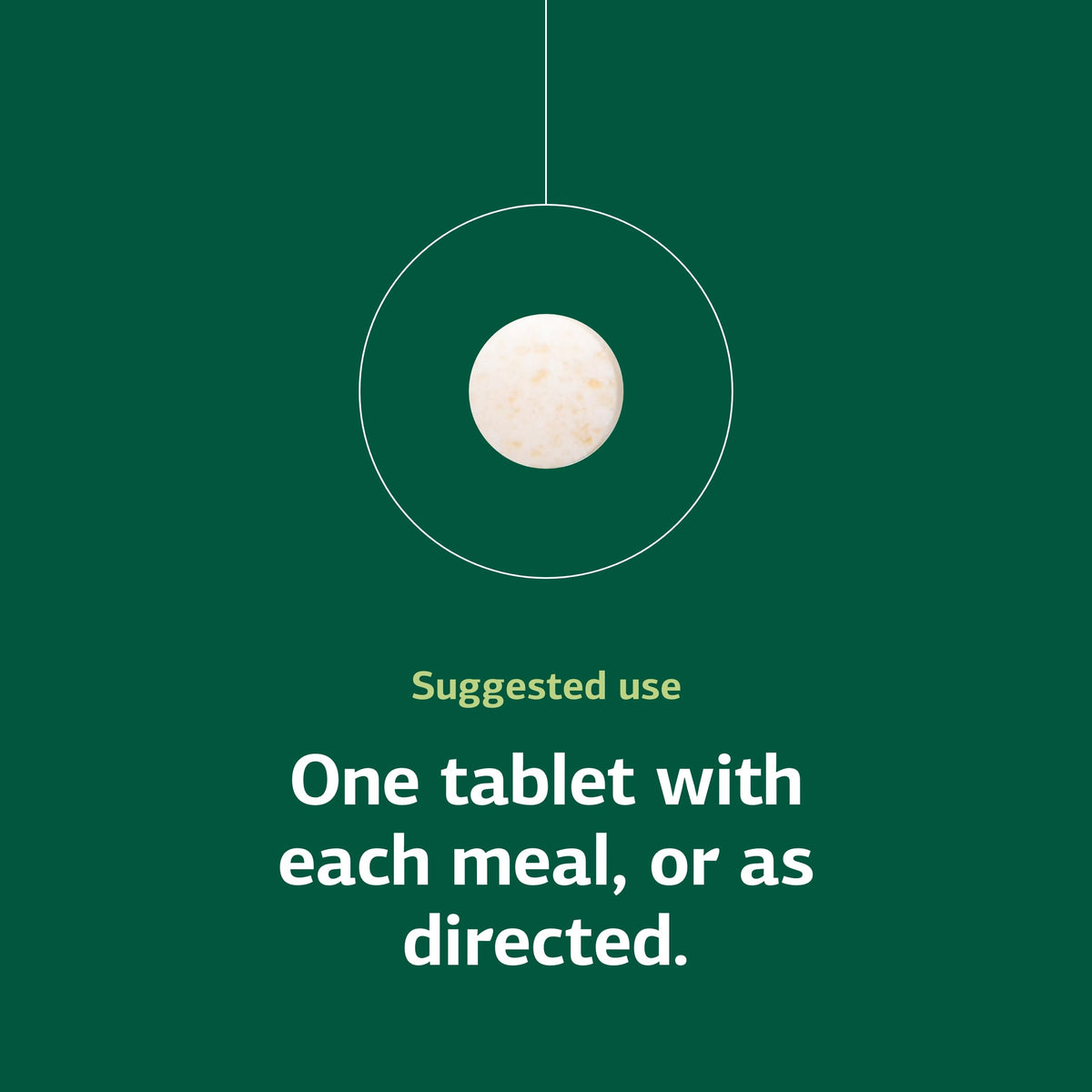 Standard Process Choline 90 Tablets on a kitchen counter